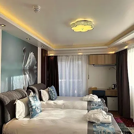 Ξενοδοχείο Whiteswan 4*
